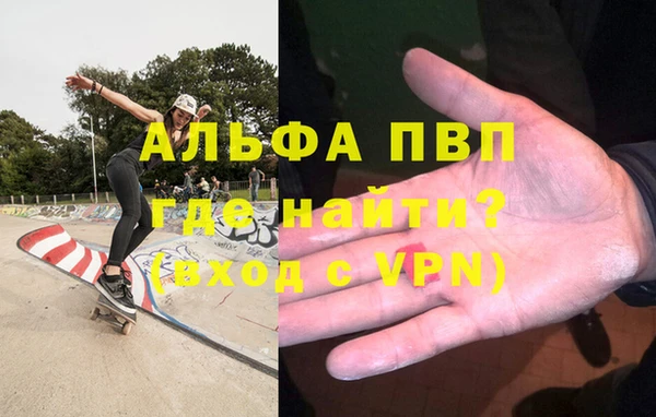 СК Белокуриха