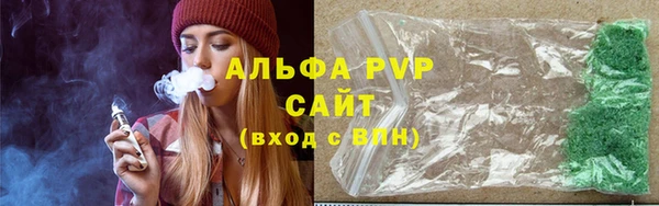 СК Белокуриха