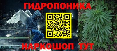 дурь Берёзовский