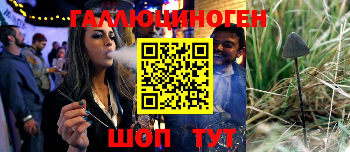 Галлюциногенные грибы Magic Shrooms  Вход с VPN  Горячий Ключ  Псилоцибиновые грибы прущие грибы 