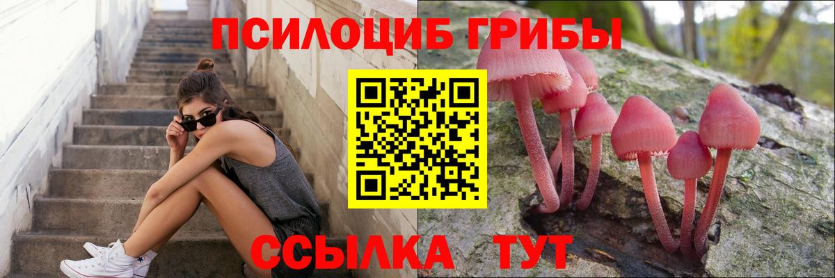 Псилоцибиновые грибы мицелий Горячий Ключ